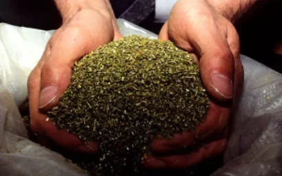 У кисловодчанки изъяли марихуану