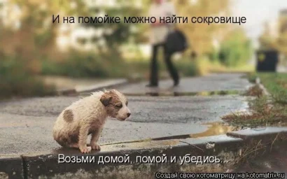 КТО СКАЗАЛ, ЧТО УБИВАТЬ — ЛУЧШИЙ ВЫХОД?!