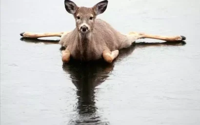 ВНИМАНИЕ: ОЖИДАЮТСЯ ТУМАН, ГОЛОЛЕД, ПОРЫВИСТЫЙ ВЕТЕР, МОКРЫЙ СНЕГ!