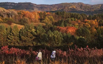 КИСЛОВОДСКИЙ ПАРК СТАНЕТ КРУПНЕЙШИМ В ЕВРОПЕ