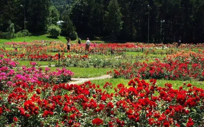 В ОБЪЯТИЯХ ВОДЫ, СОЛНЦА И ВОЗДУХА