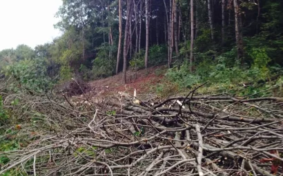 800 НАРУШЕНИЙ ПРИРОДООХРАННОГО ЗАКОНОДАТЕЛЬСТВА ЗАФИКСИРОВАНО НА СТАВРОПОЛЬЕ ЗА ГОД