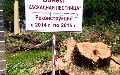 У КАСКАДНОЙ ЛЕСТНИЦЫ ПИЛЯТ ДЕРЕВЬЯ