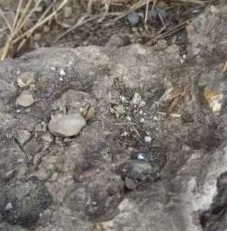 Откуда под Кисловодском разлитая ртуть?!