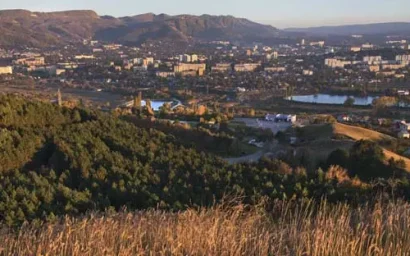 ГОРОДСКИЕ ЛЕСА ДОЖДАЛИСЬ ВНИМАНИЯ