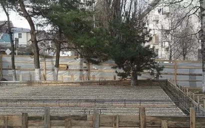 СУД ОБЯЗАЛ ГРАЖДАНКУ, ЗАМУРОВАВШУЮ ЕЛЬ, СНЕСТИ САМОВОЛЬНОЕ СТРОЕНИЕ