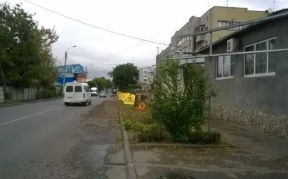 ЗА НАРУШЕННЫЕ ПРАВИЛА РАСПЛАЧИВАЮТСЯ ДЕРЕВЬЯ