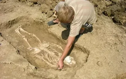 ЛЮБИТЕЛЯМ ДРЕВНИХ ТАЙН