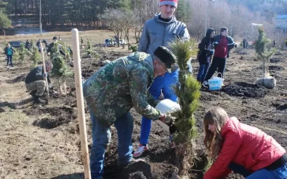 СЕГОДНЯ ЛЕСОПАРК КИСЛОВОДСКА УВЕЛИЧИЛСЯ НА СТО ДЕРЕВЬЕВ