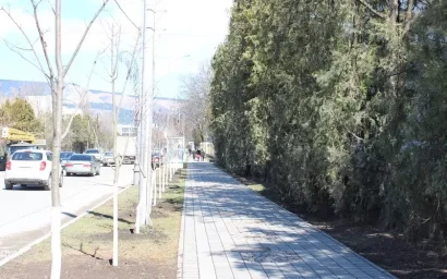 НА ПРОСПЕКТЕ ПОБЕДЫ ВЫСАДЯТ 90 НОВЫХ ЛИП