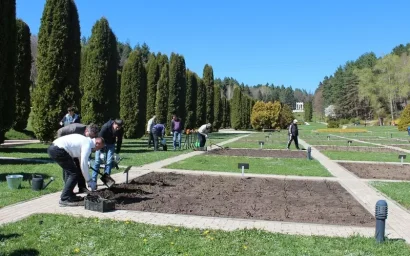 НОВОСТИ КОРОТКОЙ СТРОКОЙ