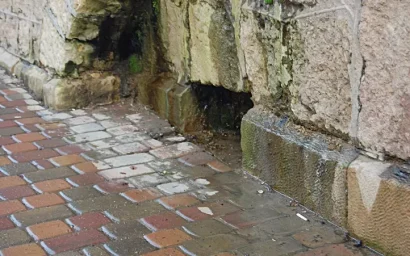 ПО ЦЕНТРАЛЬНОЙ УЛИЦЕ МНОГО ДНЕЙ ТЕЧЕТ СТРАННЫЙ ПОТОК