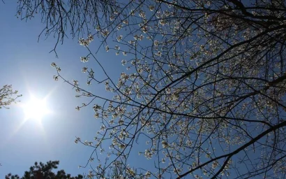 СИЯЕТ СОЛНЦЕ НАД КИСЛОВОДСКОМ