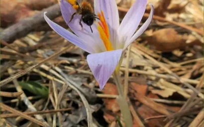 ОСОБО ОХРАНЯЕМАЯ ПРИРОДНАЯ ТЕРРИТОРИЯ — ОСОБЫЙ УРОВЕНЬ ОТВЕТСТВЕННОСТИ