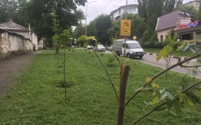 СПАСИТЕ КИСЛОВОДСК ОТ ДЕФИЦИТА СОВЕСТИ