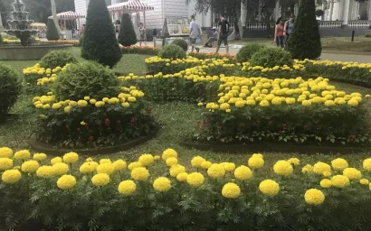 ГОСТЬ ИЗ ЮЖНОЙ АМЕРИКИ