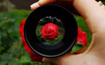 О НАЦИОНАЛЬНОМ ПАРКЕ — В НОВЫХ РУБРИКАХ