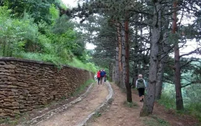 КИСЛОВОДСКИЕ ТЕРРЕНКУРЫ ВРАЧА ОБОЛОНСКОГО