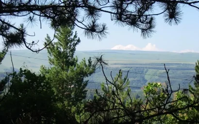 ПАРК В ПОЭЗИИ. Татьяна БРУНЬКО.