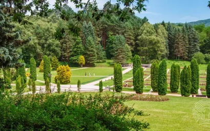 НАШ ПАРК СЕГОДНЯ