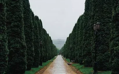 «СЕРДЦЕ ЗОВЕТ В КИСЛОВОДСК»…