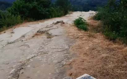 ПАРК В ПОЭЗИИ. Татьяна БРУНЬКО