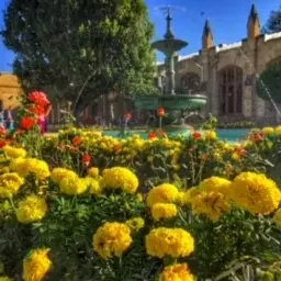 ПАРК В ПОЭЗИИ. Геннадий ГУЗЕНКО