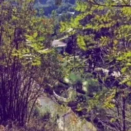 ПАРК В ПОЭЗИИ. Вячеслав КОЖЕВНИКОВ