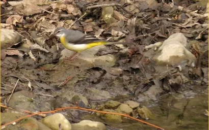 ТРУДНО ЛИ ПОСТРОИТЬ ДОМ?