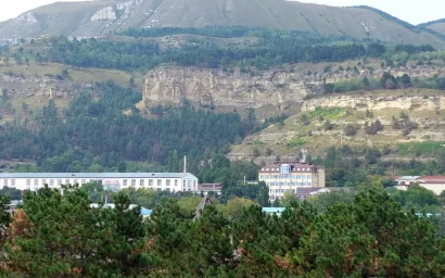 КИСЛОВОДСКИЕ ЛЕСА ПОЛУЧАТ «ГРАЖДАНСТВО»