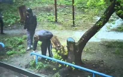 НАРКОМАНЫ АТАКУЮТ ДАЧНЫЙ ПОСЕЛОК