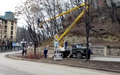 К ЧЕМУ ПРИВЕДЕТ ОБРЕЗКА ДЕРЕВЬЕВ?