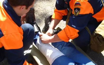 ВЕТЕР ЗА СУТКИ НАЛОМАЛ НЕМАЛО ДРОВ