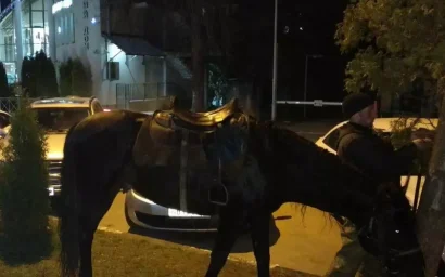 НА ХОЗЯИНА ЛОШАДЕЙ, РАЗГУЛИВАЮЩИМ ПО ДОРОГАМ, НАЛОЖЕН ШТРАФ