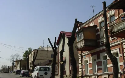 РАДИ ГНЕЗДЫШКА ГРАЧА…