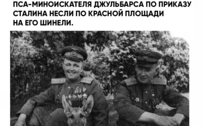 ЧЕТВЕРОНОГИЕ ГЕРОИ ВЕЛИКОЙ ОТЕЧЕСТВЕННОЙ(6+)