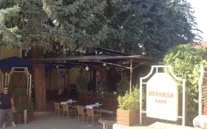 В ЦЕНТРЕ КУРОРТА ВАРВАРСКИ УНИЧТОЖАЮТ РОСКОШНЫЕ ЕЛИ