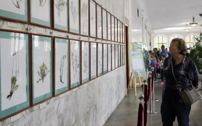 УНИКАЛЬНЫЕ ГЕРБАРИИ МОЖНО УВИДЕТЬ В НАРЗАННОЙ ГАЛЕРЕЕ