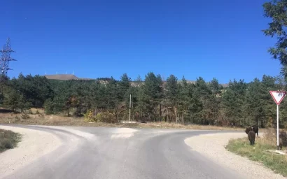 В АВАРИИ НА ТРАССЕ ПОГИБ МОЛОДОЙ ЧЕЛОВЕК