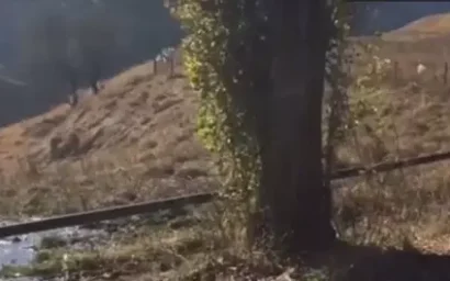 В БЕРЕЗОВКУ ВПАДАЕТ… КАНАЛИЗАЦИЯ