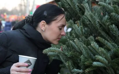 ГДЕ КУПИТЬ НОВОГОДНЮЮ ЕЛКУ