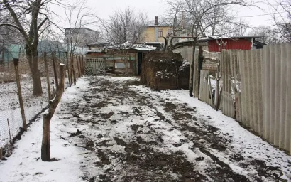 ДЛЯ СЕЛЬХОЗЖИВОТНЫХ В ЧАСТНОМ СЕКТОРЕ ТОЖЕ ЕСТЬ ПРАВИЛА!