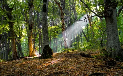 ОБСУЖДЕНИЕ ЗЕЛЕНОГО ПОЯСА КАВМИНВОД ПРОХОДИТ ЖАРКО (16+)