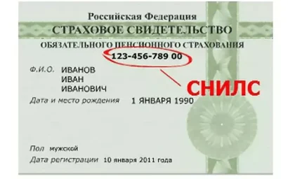 НА СМЕНУ БУМАЖНЫМ СНИЛСАМ ПРИШЛИ ЭЛЕКТРОННЫЕ