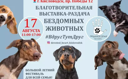 ВЫСТАВКА-РАЗДАЧА БЕЗДОМНЫХ ЖИВОТНЫХ СОСТОИТСЯ В КИСЛОВОДСКЕ 