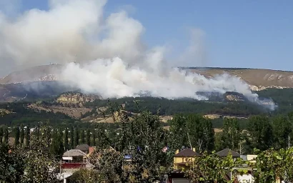 В РАЙОНЕ ГОРЫ КОЛЬЦО ГОРИТ ТРАВА