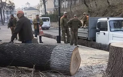УЛИЦЫ КАРДИОЛОГИЧЕСКОГО КУРОРТА ПРОДОЛЖАЮТ ИЗБАВЛЯТЬ ОТ ДЕРЕВЬЕВ