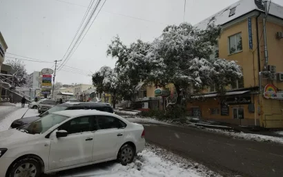 СНЕГ В КИСЛОВОДСКЕ ПОЛОМАЛ ОКОЛО СТА КУБОМЕТРОВ ВЕТВЕЙ И ДЕРЕВЬЕВ  