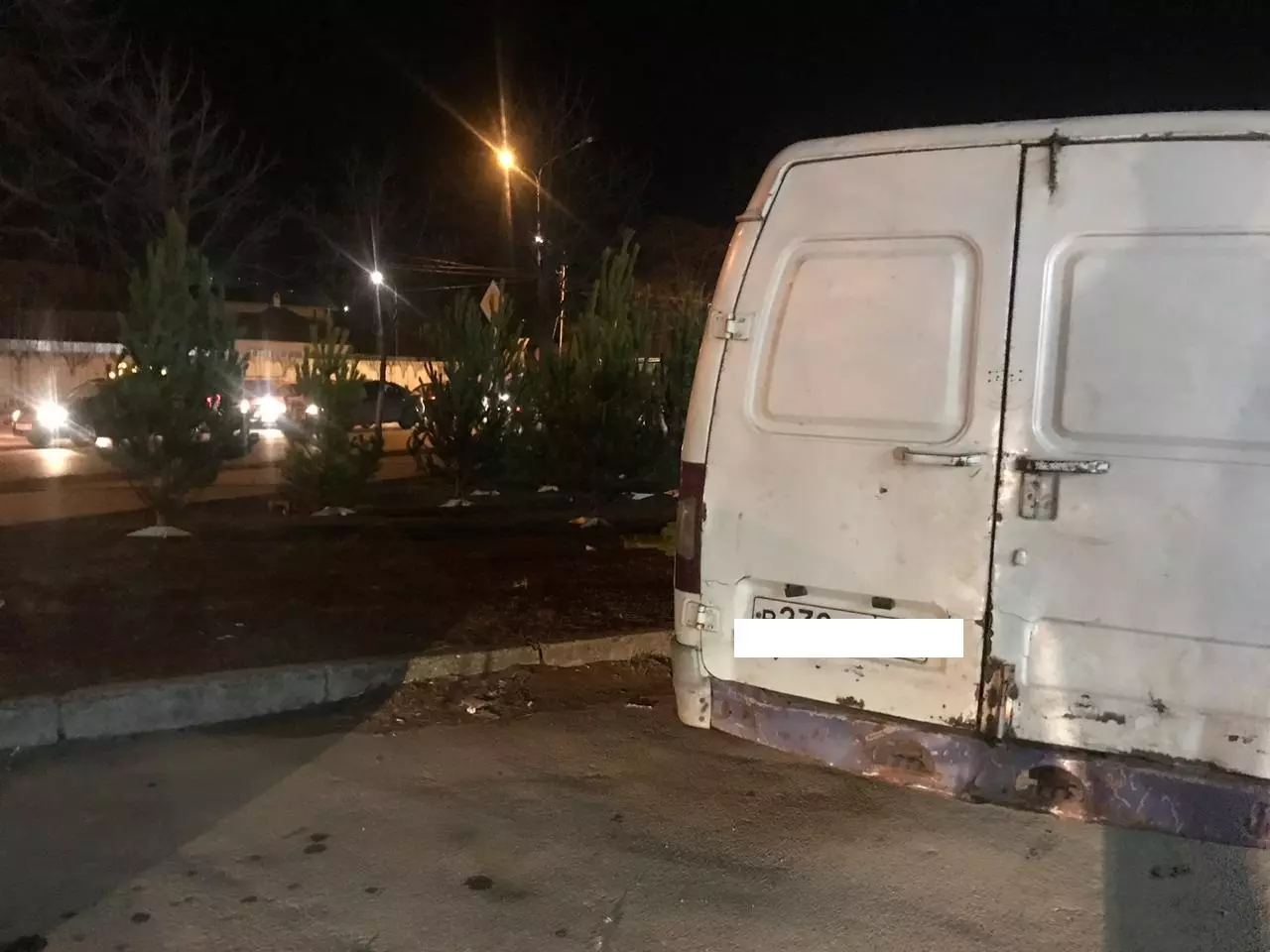 НЕЗАКОННАЯ ТОРГОВЛЯ ЕЛКАМИ