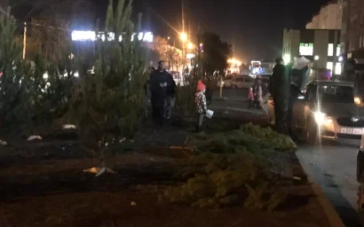 НЕЗАКОННАЯ ТОРГОВЛЯ ЕЛКАМИ